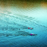 open water swimmers with swim buoys