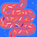 Gut Microbiota Probiotics Concept